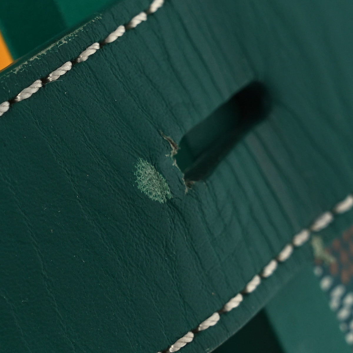 Goyard Bourget PM Bag – Green Goyardine Canvas
