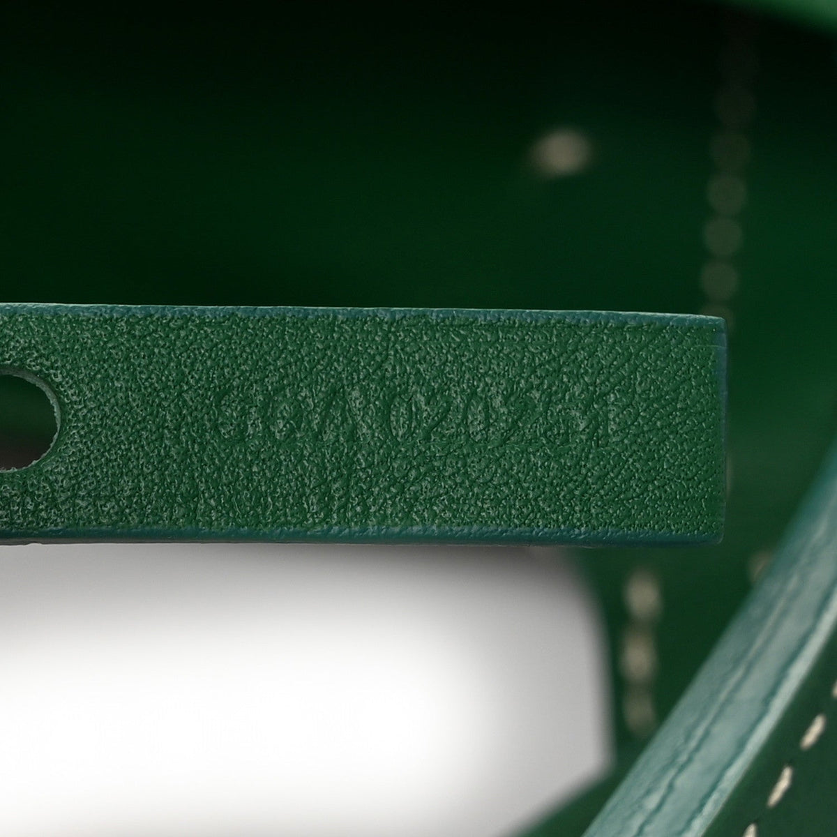 GOYARD Goyardine Reversible Anjou PM Tote – Green
