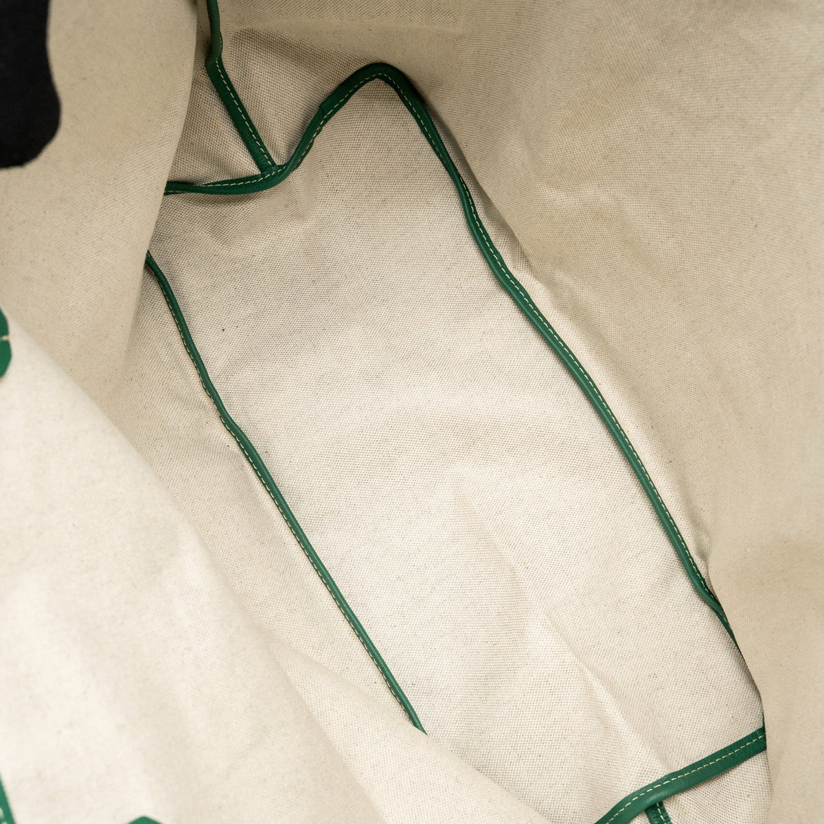 Goyard Saint Louis PM Tote Bag – Green Goyardine Canvas, Silver Hardware